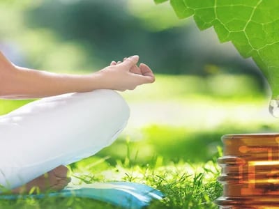 Phytotherapie als natürliche Ergänzung zu Osteopathie und Fasten