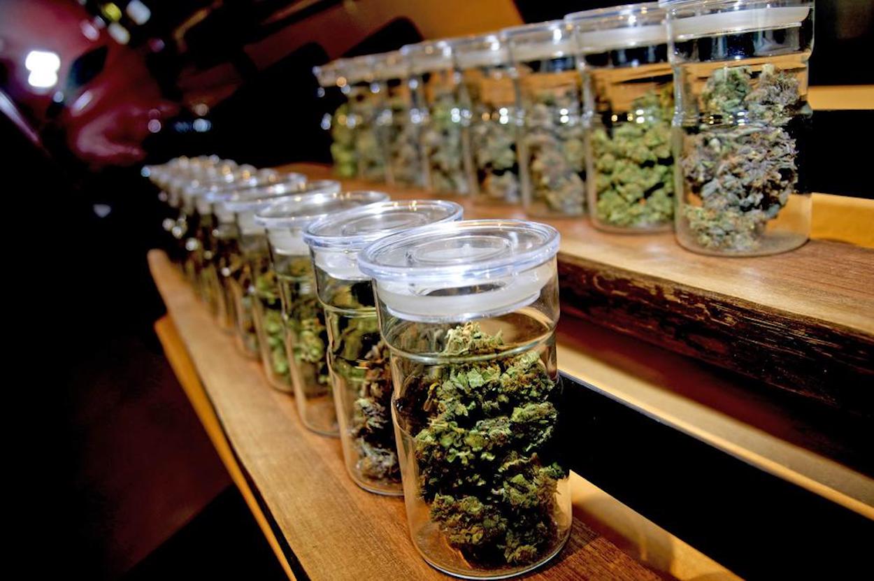 Barcelona Coffeeshops vs. Social Clubs: Was ist erlaubt?