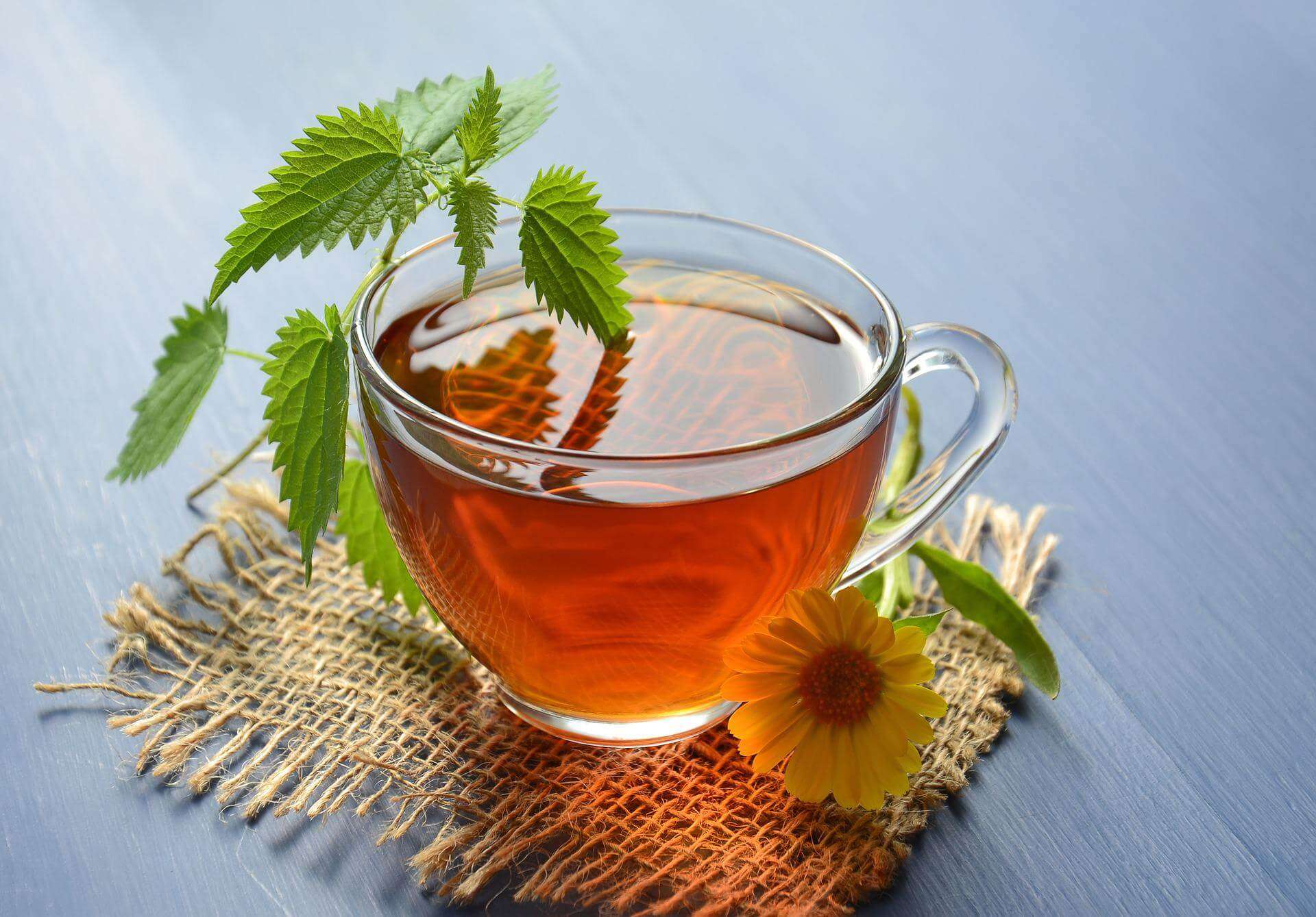 Natürlich gesund bleiben – Jetzt hochdosierter Mikrobiom-Basic Mittel kaufen