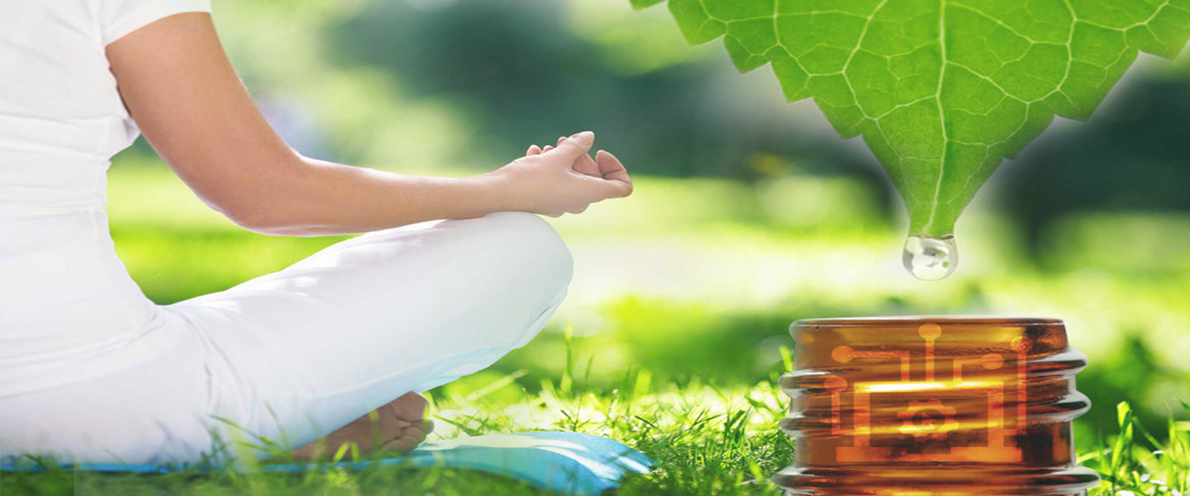 Phytotherapie als natürliche Ergänzung zu Osteopathie und Fasten