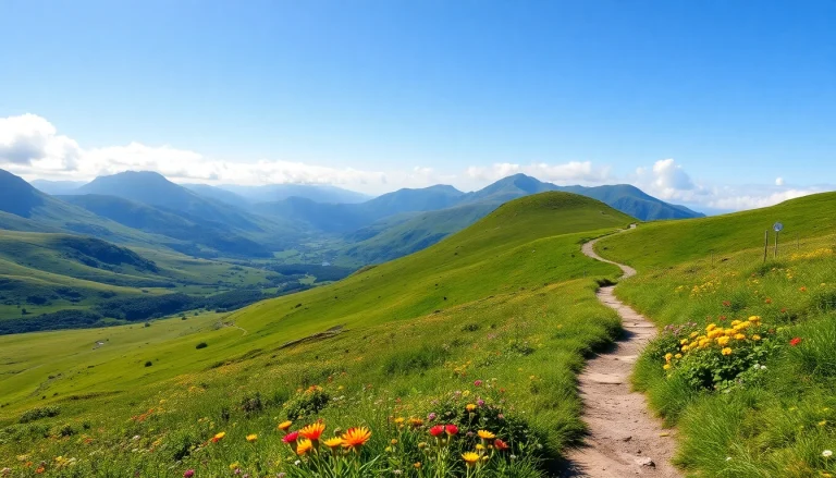 Erleben Sie den Wicklow Way Irland mit atemberaubenden Ausblick auf die grünen Hügel und blühenden Wildblumen.